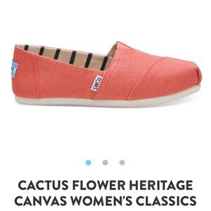 NWT Canvas Toms